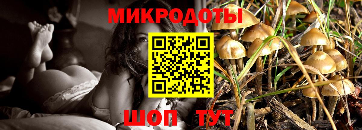 Галлюциногенные грибы Psilocybine cubensis Реж